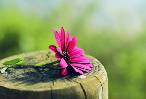 1708537077731696.png image.png