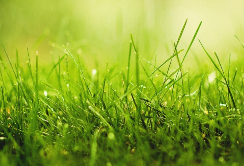 1708537409238901.png image.png