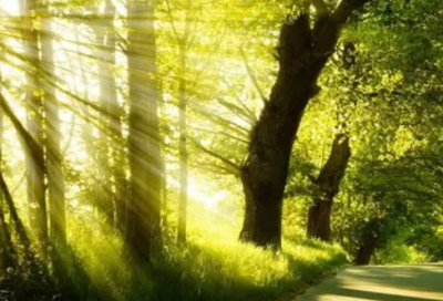 ​滋养心灵的励志名言