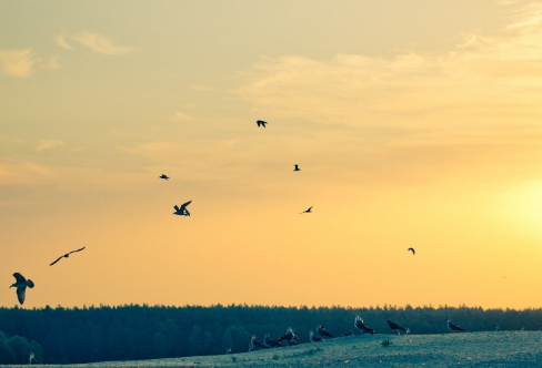 1708538242617743.png image.png