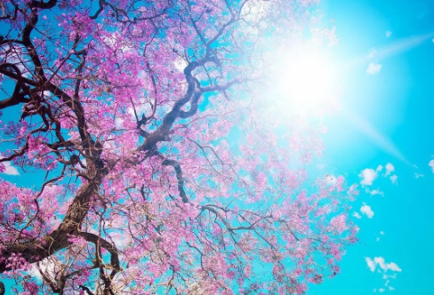 1708538408301665.png image.png