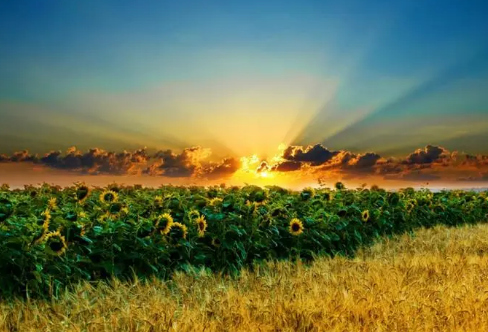 1708538575297342.png image.png