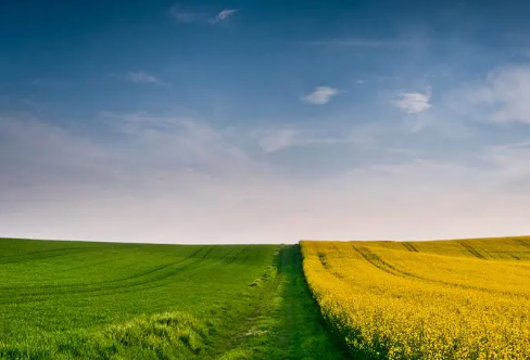 1708538741708405.png image.png