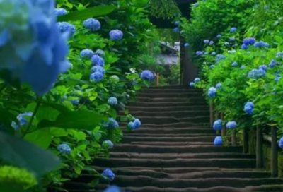 ​关于时尚的名言