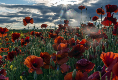 ​马云创业的名言