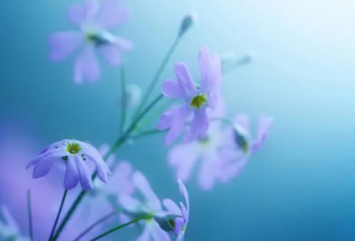 ​小学生名人名言大全