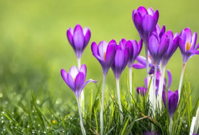 ​有关生命的名言