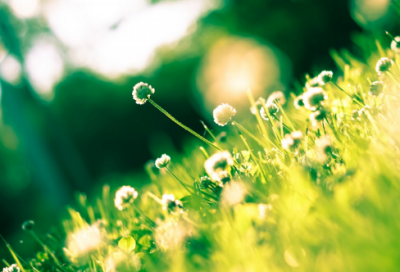 ​关于孝敬父母的名言警句大全