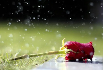 ​有关于生命的名人名言