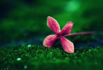 ​关于理想的名人名言