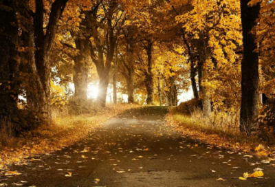 ​蒙田经典名言