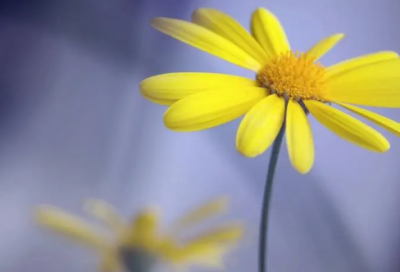 ​励志交友名言名句大全