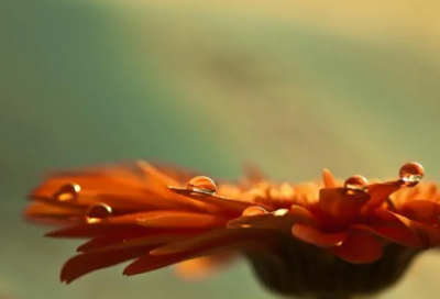 ​关于成功的励志名言