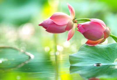 ​坚持励志名言