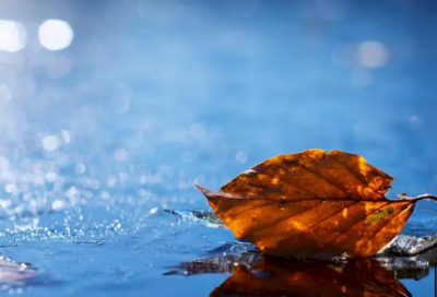 ​萧伯纳的名言