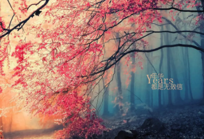 ​巴尔扎克的经典励志名言