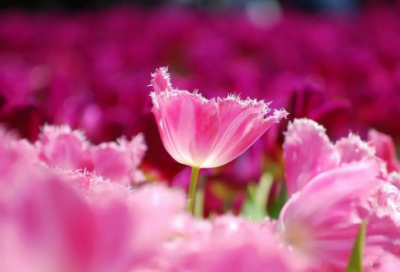 ​人生价值观名言警句