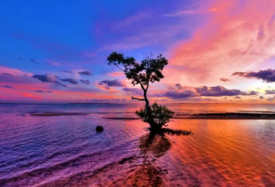 ​太宰治名言大全(合集44句)