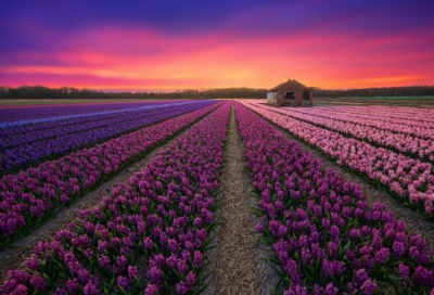 ​关于珍惜眼前人的名言