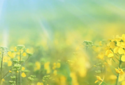 ​坚持的名言警句大全