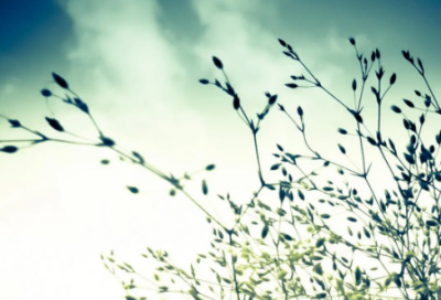 ​关于潜能的名言