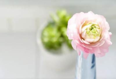 ​经典教育名言名句大全