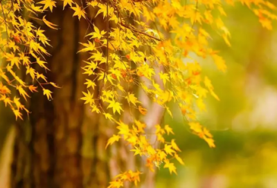 ​描写坚强的名言