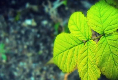 ​论语中名言警句