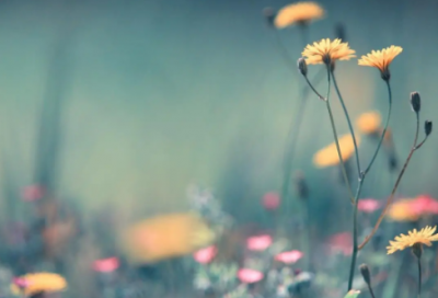 ​有哪些关于激励自己的名言