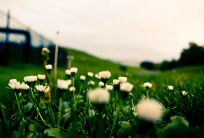 ​关财富的名人名言