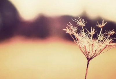 ​列宁经典名言摘抄