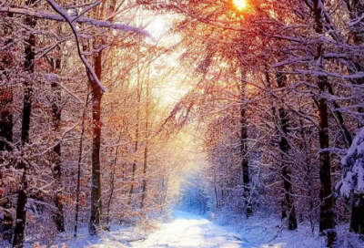 ​关于激情的名言