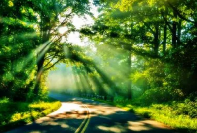 ​逆境中成长的名言