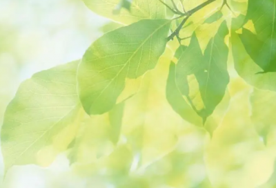 ​有关自信的名言警句