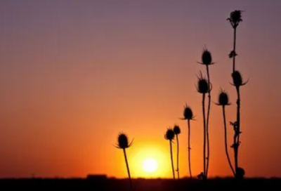 ​热血青春励志名言