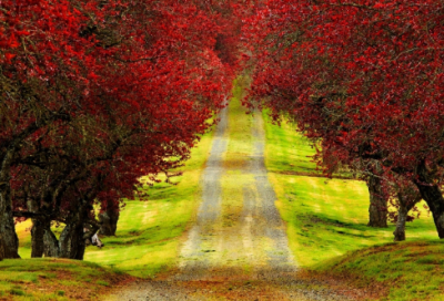 ​关于大度的名言