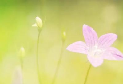 ​关于安全的名言大全(热门83句)