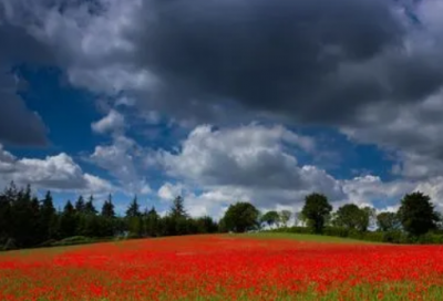 ​经典励志名言60条