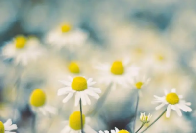 ​激励自己的经典名言