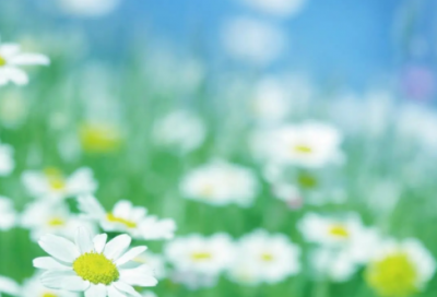 ​乔布斯经典名言【合集48句】