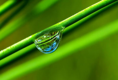 ​古永锵名言大全