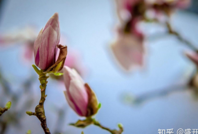 ​成功的名言（四）