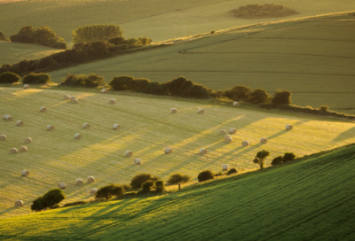 ​经典英文名言