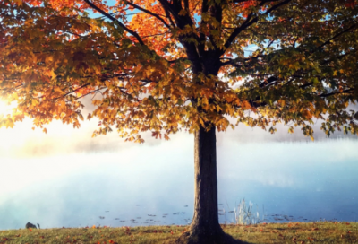 ​普希金的名言