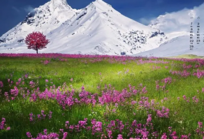 ​关于文学的名人名言