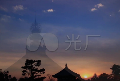 ​读书的名人名言大全摘抄