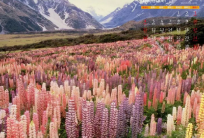 ​诚信的名言警句大全