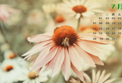 ​关于帮助他人的名言