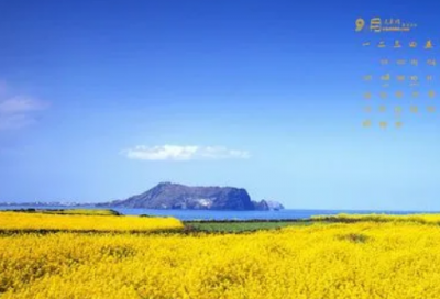 ​关于婚姻的萧伯纳名言