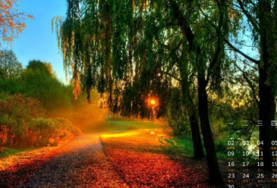 ​激励人奋斗努力的名言摘抄